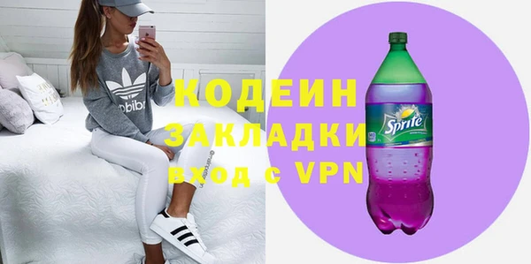 шишки Иннополис