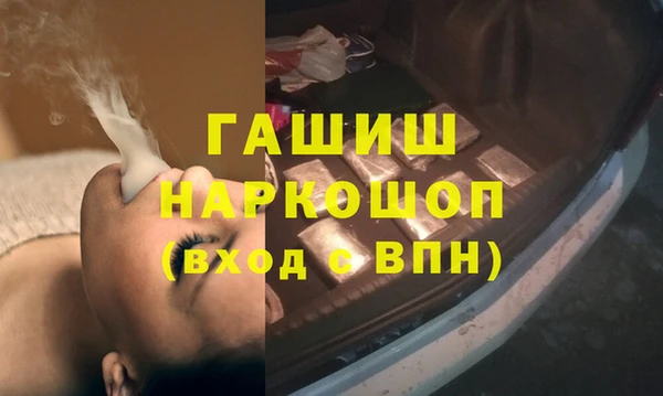 гидра Каменногорск