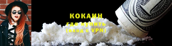 шишки Иннополис