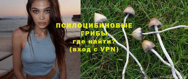 гидра Каменногорск