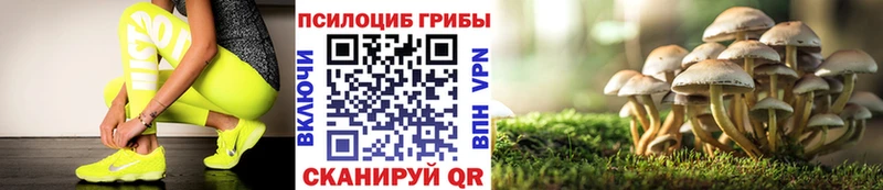 Галлюциногенные грибы MAGIC MUSHROOMS Купить где Балтийск